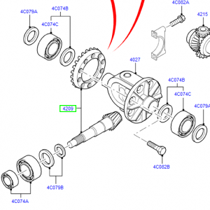 grup_conic_ford_transit